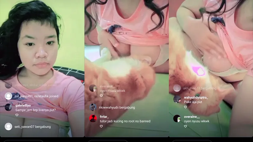 Bokep Viral ABG Toketnya di Jilat Kucing
